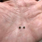Euphorbia obesa Cactus Succulent Seeds - High Germination Ra