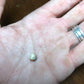 Tephrocactus geometricus Cactus Seeds