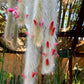 Hildewintera colademononis - Monkey Tail Cactus Seeds - Super Furry Hybrid - Fresh Seeds - California Desert Grown