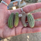 Echinopsis chamaecereus (Peanut Cactus) Cutting Pack - WestField Alba, Yellow Bird, Rose Quartz, Orange Blooms