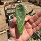 Opuntia zebrina f. reticulata — Cobra Cactus — Small Single