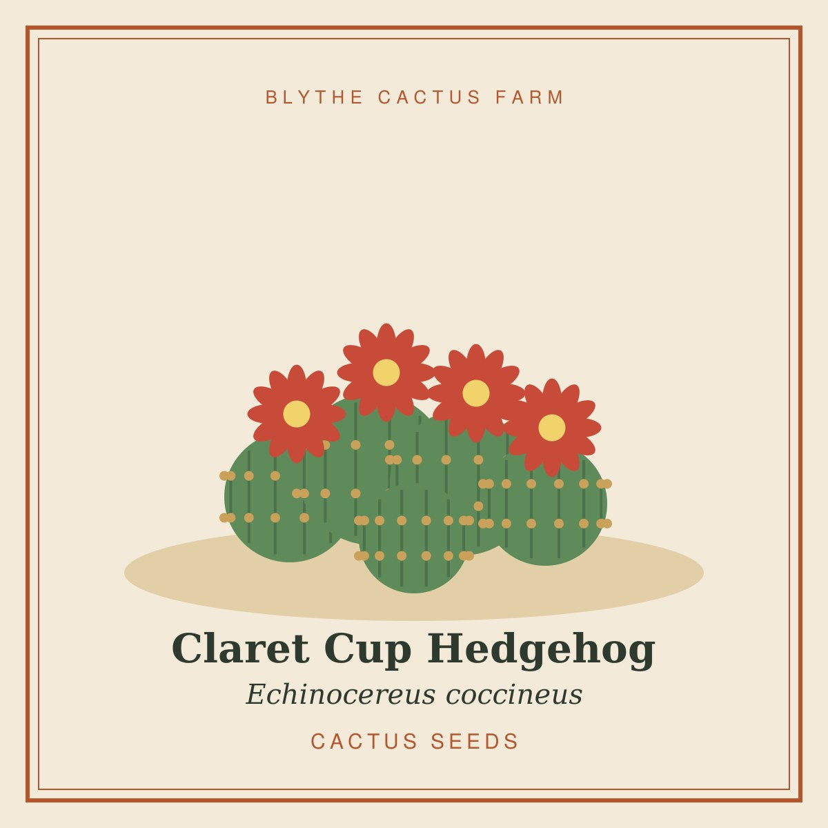 Echinocereus coccineus – Claret Cup Hedgehog Cactus Seeds