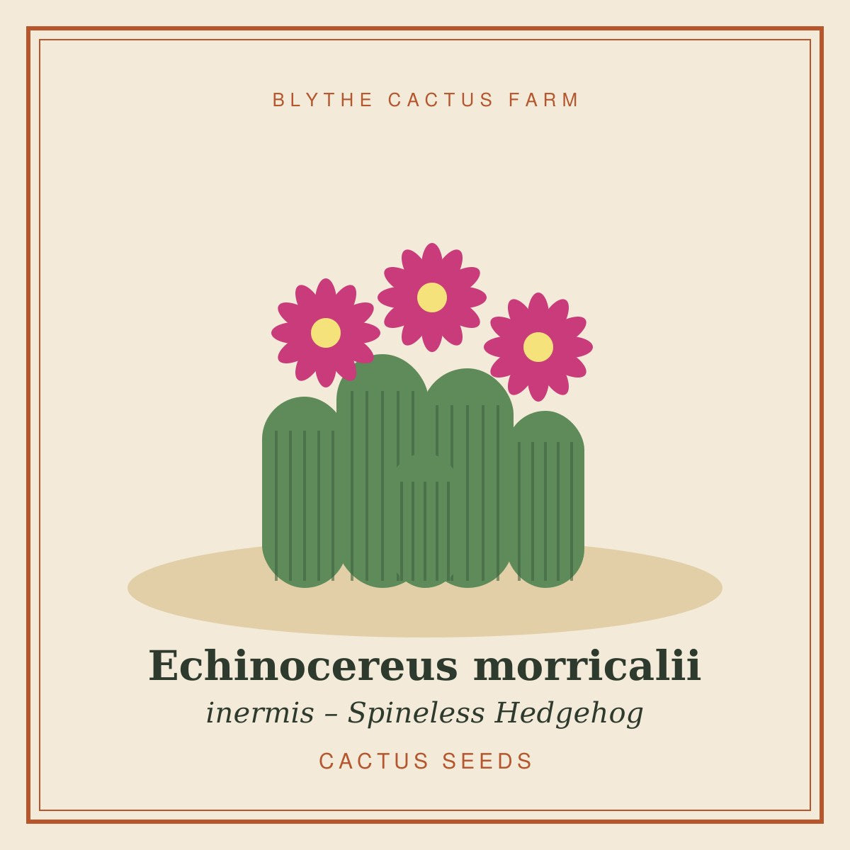 Echinocereus morricalii inermis seeds