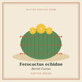 Ferocactus echidne – Barrel Cactus Seeds