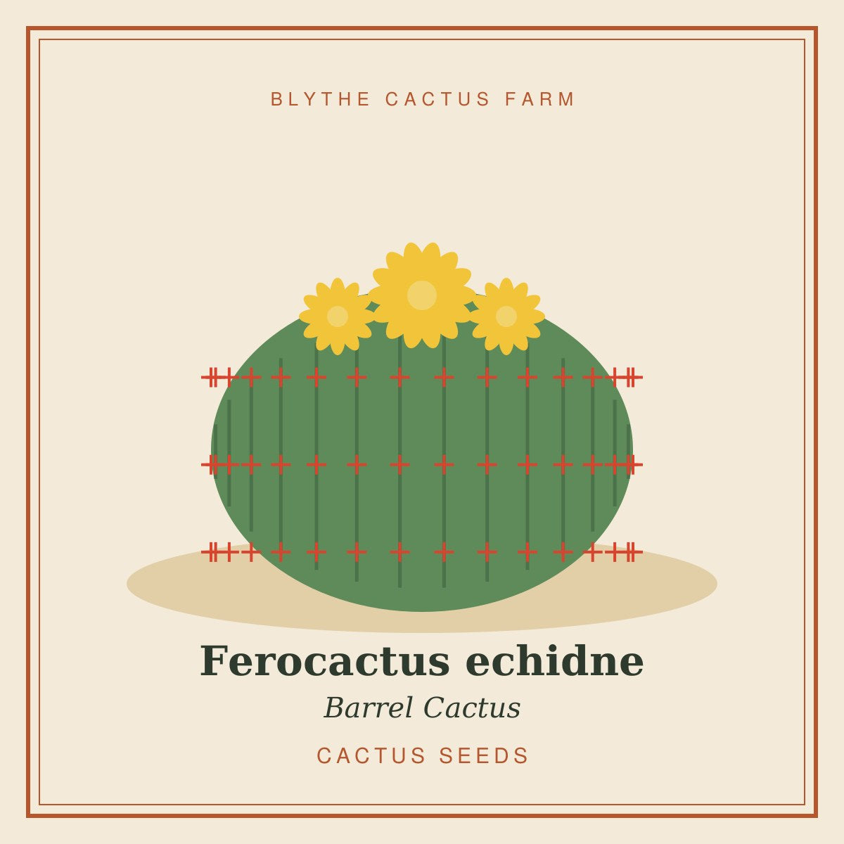 Ferocactus echidne – Barrel Cactus Seeds