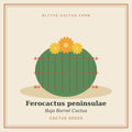 Ferocactus peninsulae – Baja Barrel Cactus Seeds