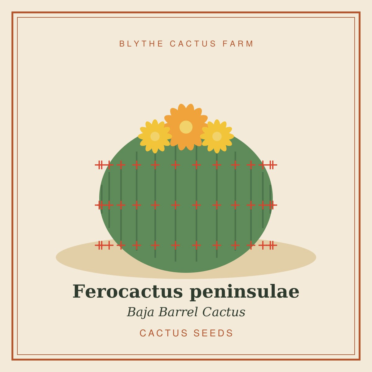 Ferocactus peninsulae – Baja Barrel Cactus Seeds