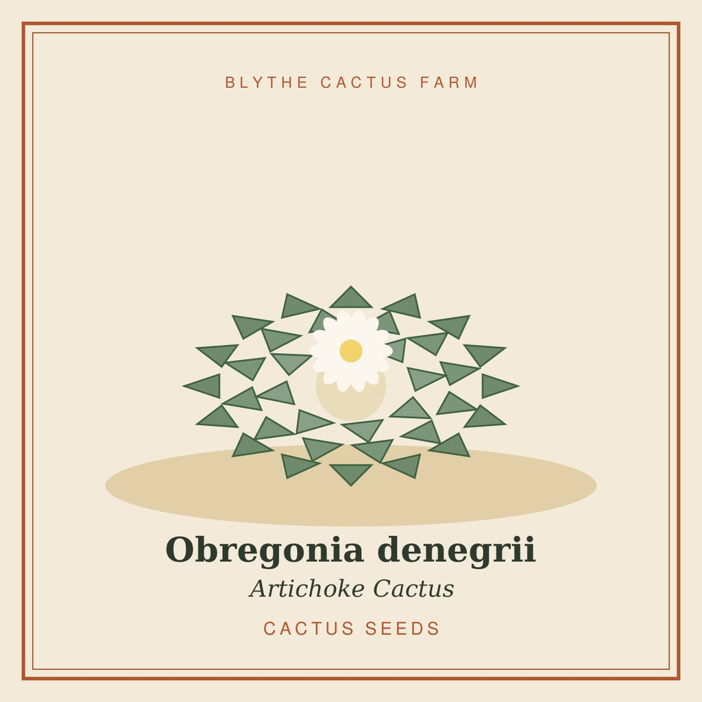 Obregonia denegrii seeds