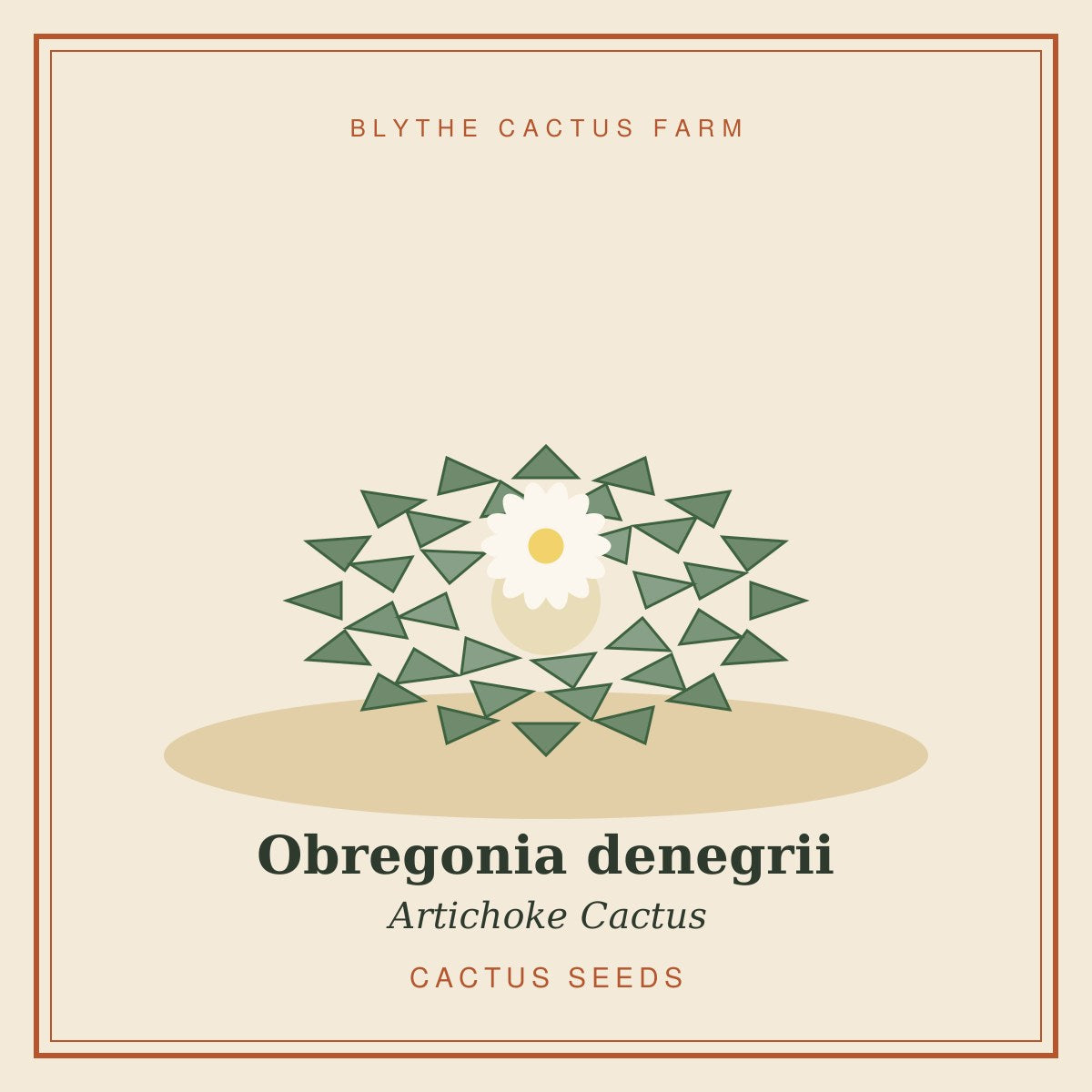 Obregonia denegrii seeds