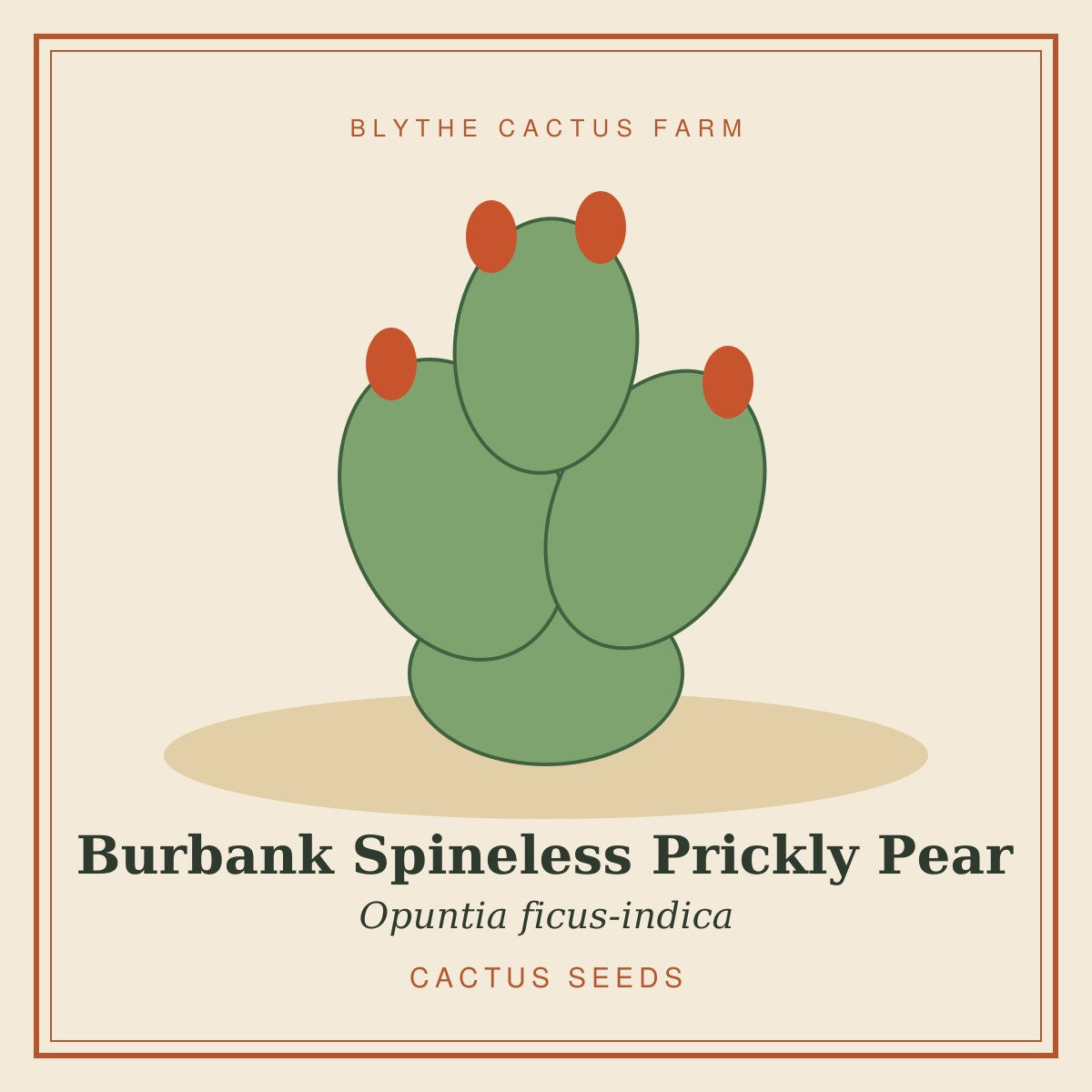 Opuntia ficus-indica 'Burbank Spineless' – Prickly Pear Cactus Seeds