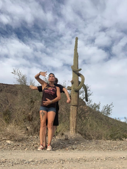 Carnegiea gigantea crested - Giant Saguaro Sajuaro Seeds