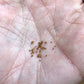 Lithop Seeds - Assorted species and hybrids