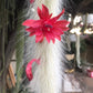 Hildewintera colademononis - Monkey Tail Cactus Seeds - Grown in California