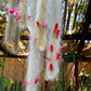 Hildewintera colademononis - Monkey Tail Cactus Seeds - Super Furry Hybrid